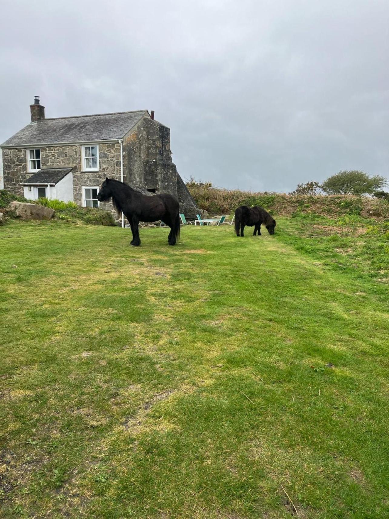 Kitts Cottage Redruth Exteriör bild